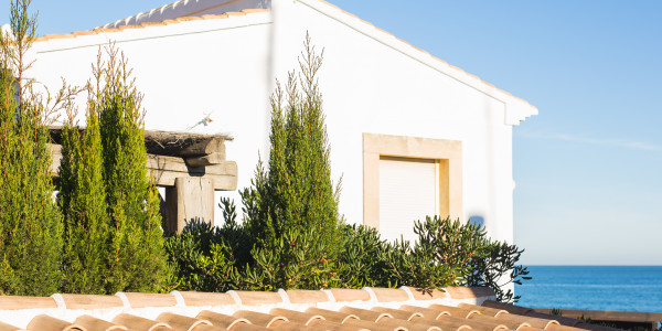 Inversores, Intermediarios, Agentes y Brokers Inmobiliarios en Peñalba · Casas de Playa